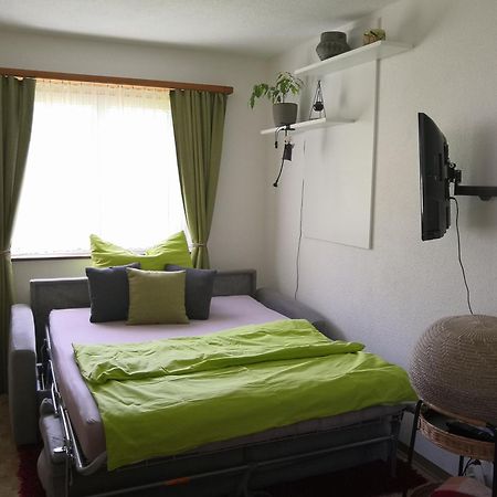 Apartment Am Birkenweg Walde المظهر الخارجي الصورة
