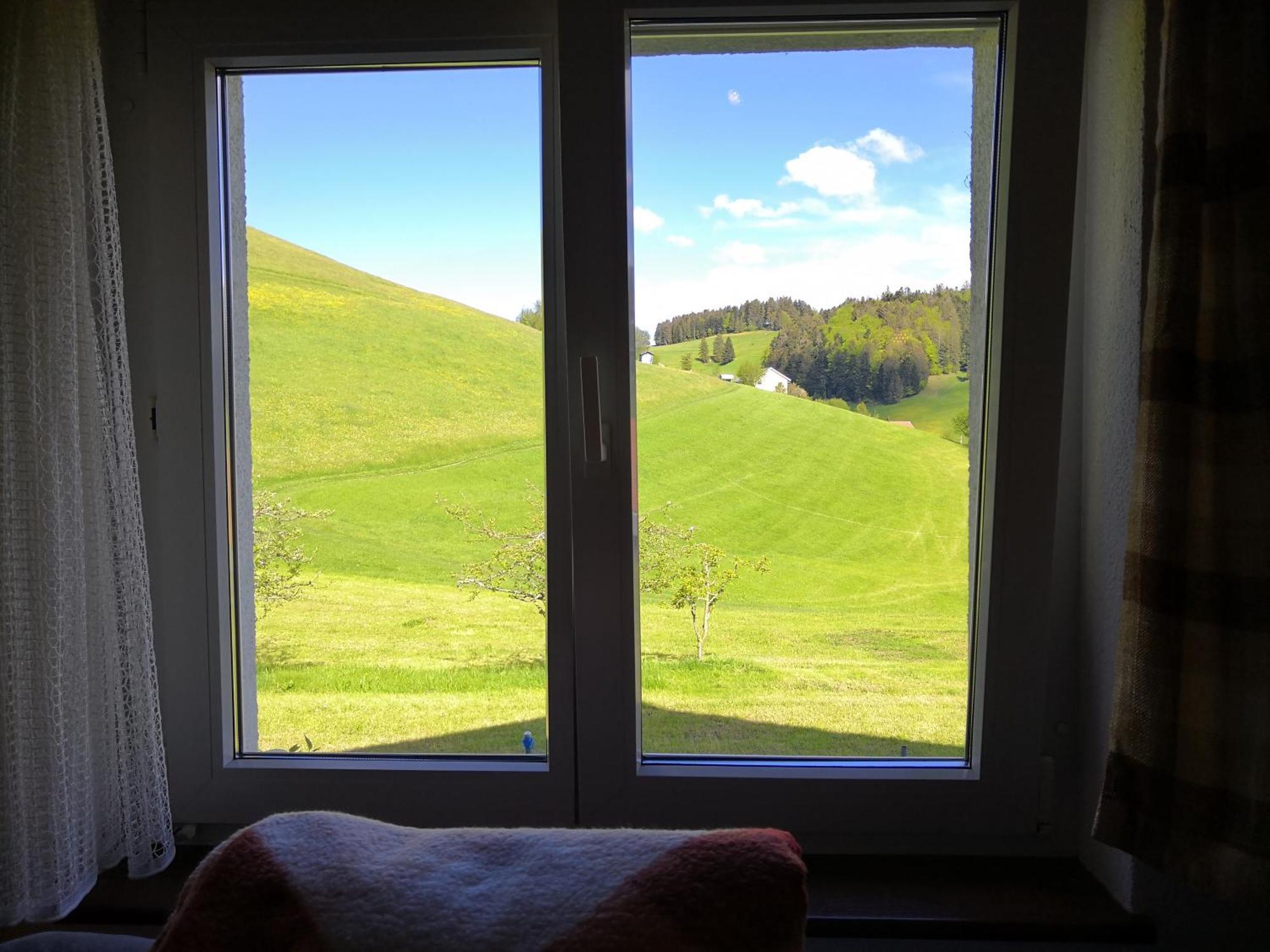 Apartment Am Birkenweg Walde المظهر الخارجي الصورة